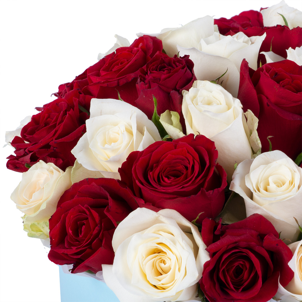 35 разноцветных роз в голубой шляпной коробке