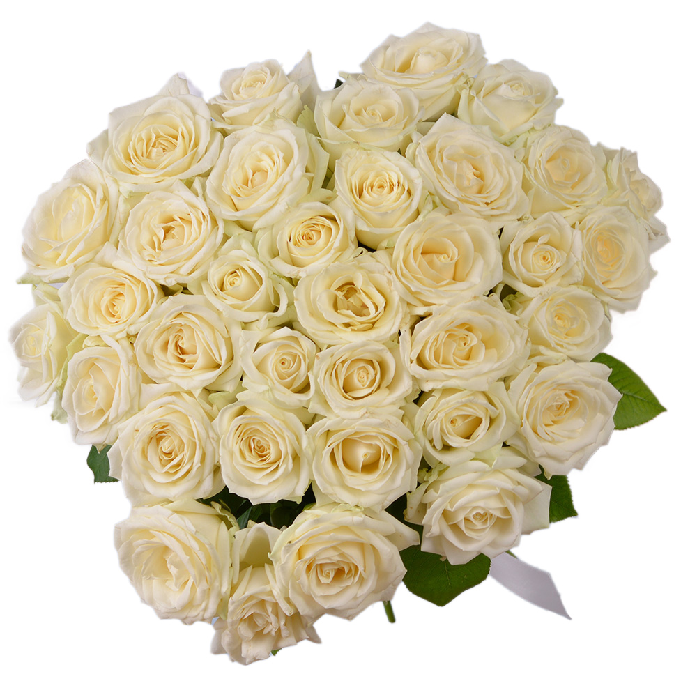 35 белых роз 50 см под ленту