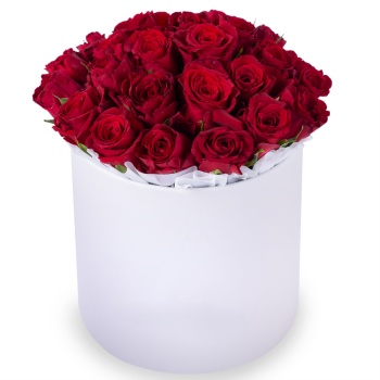 25 красных роз в белой шляпной коробке