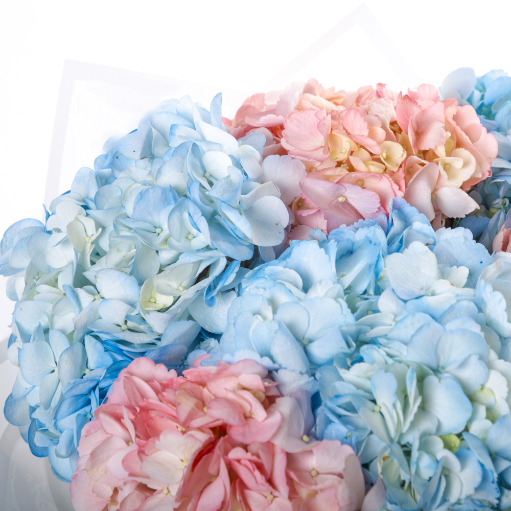 Букет из 7 разноцветных гортензий