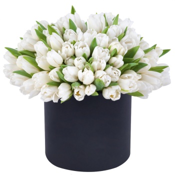 101 белый тюльпан в черной шляпной коробке